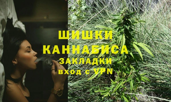стафф Белокуриха