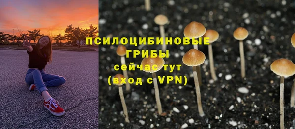 a pvp Богданович