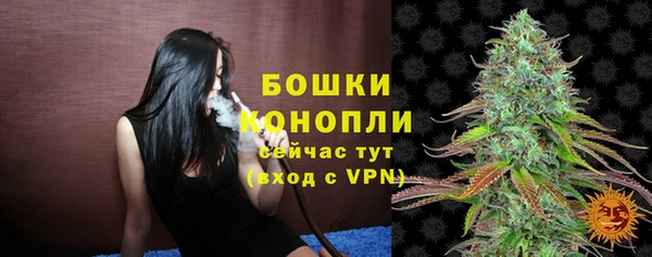 PSILOCYBIN Белоозёрский