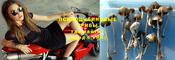 первитин Богородск